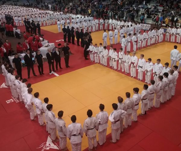 judo, aseat, 2018, toulouse, jeunes, anciens, cours, haute-garonne, championnat, national