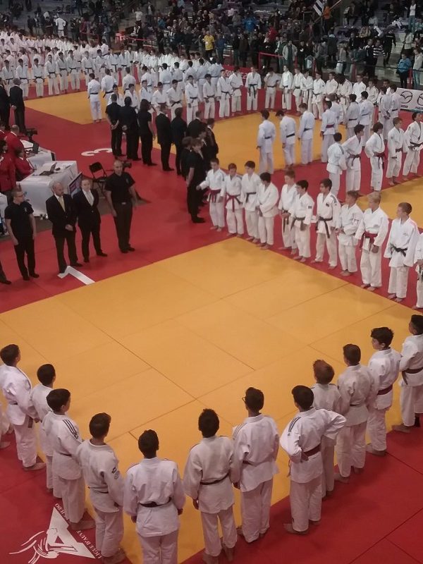 judo, aseat, 2018, toulouse, jeunes, anciens, cours, haute-garonne, championnat, national